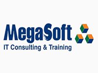 MegaSoft